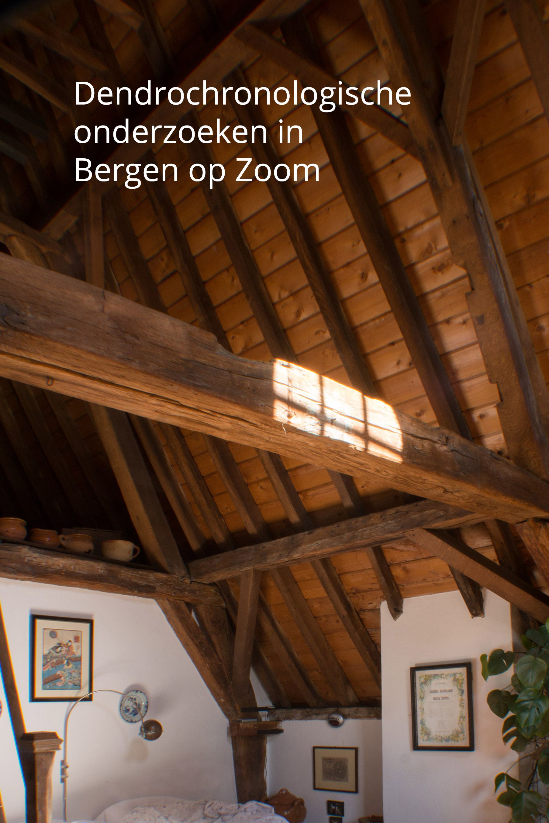 Weyts Architecten - dendrochronologisch onderzoek